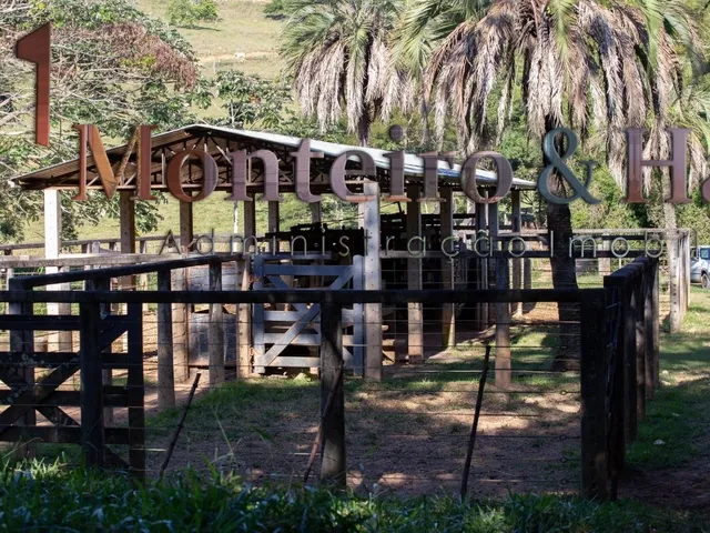 Imagem 8: 0 Fazenda / sítio com 9 dormitórios