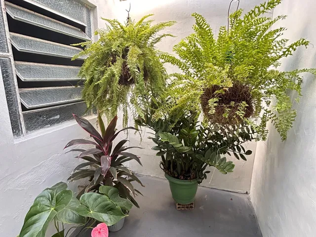 Imagem 12: Casa À Venda - Bairro Triângulo - Juazeiro do Norte/CE
