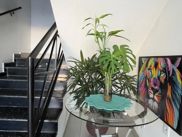 Imagem 14: Casa para Alugar no Bairro Areão - Cuiabá/Mt