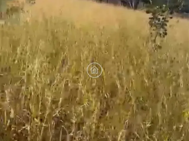 Imagem 5: Venda de Fazenda À Venda a 22 Km de Montes Claros - Excelente Localização