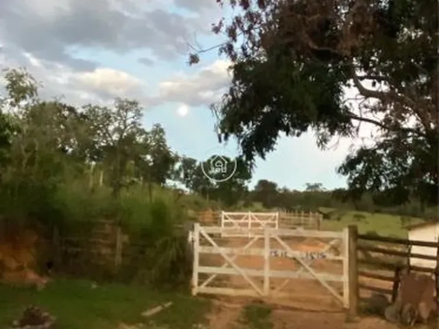 Imagem 2: Venda de Fazenda À Venda a 22 Km de Montes Claros - Excelente Localização