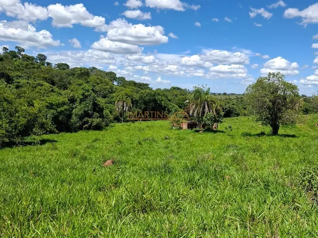 Imagem: Fazenda a Venda