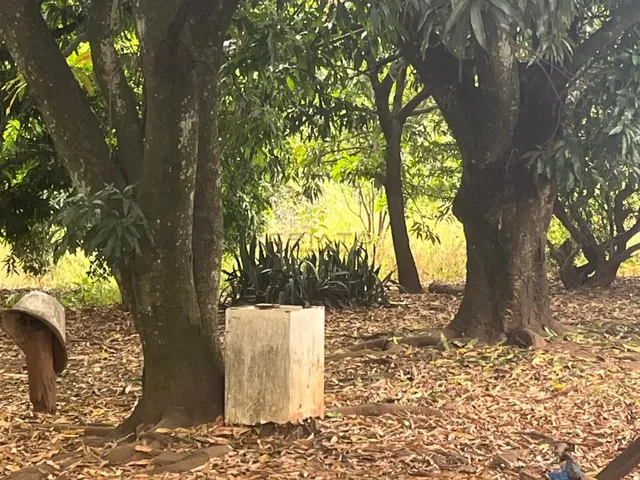 Imagem 5: Terreno À Venda Parque das Nações Anápolis/Go