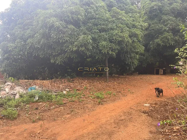Imagem 4: Terreno À Venda Parque das Nações Anápolis/Go