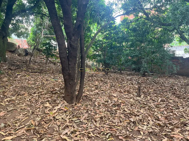 Imagem 11: Terreno À Venda Parque das Nações Anápolis/Go