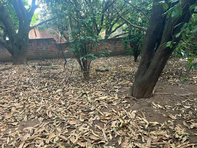 Imagem 8: Terreno À Venda Parque das Nações Anápolis/Go