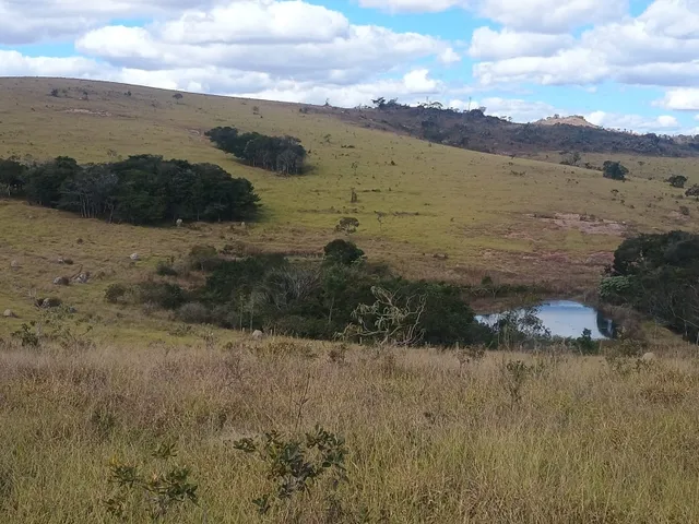 Imagem 4: Fazenda de 277 há em Desterro de Entre Rios MG