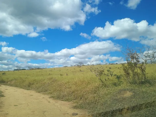 Imagem 11: Fazenda de 277 há em Desterro de Entre Rios MG