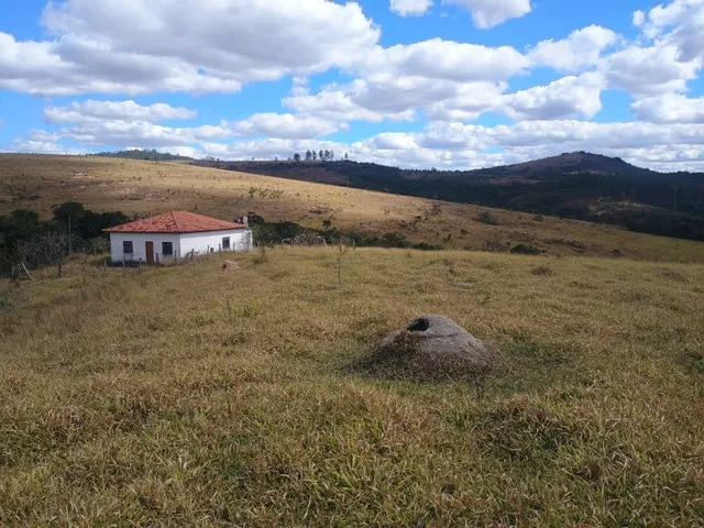 Imagem 7: Fazenda de 277 há em Desterro de Entre Rios MG