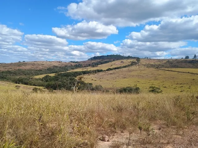 Imagem 6: Fazenda de 277 há em Desterro de Entre Rios MG