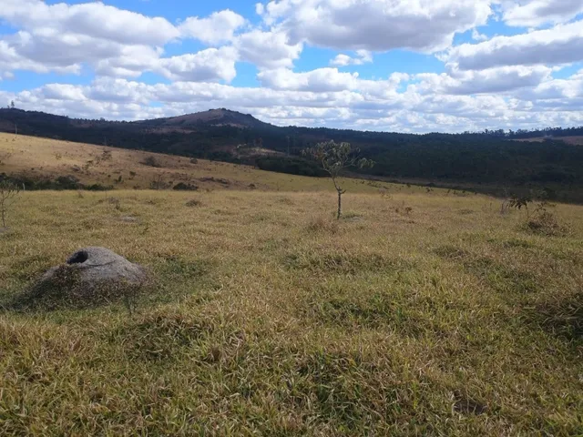 Imagem 15: Fazenda de 277 há em Desterro de Entre Rios MG