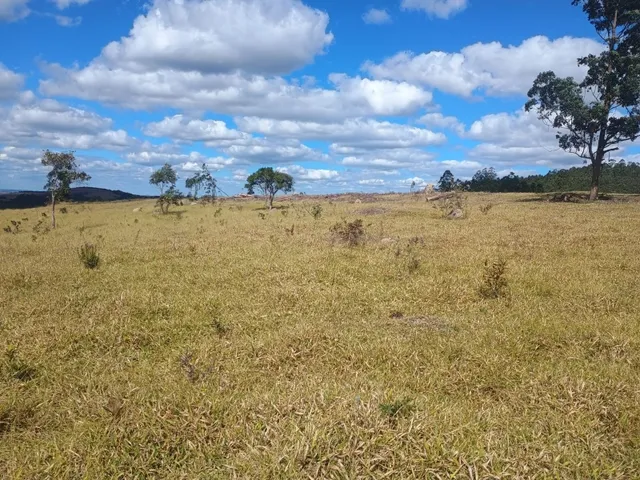 Imagem 12: Fazenda de 277 há em Desterro de Entre Rios MG