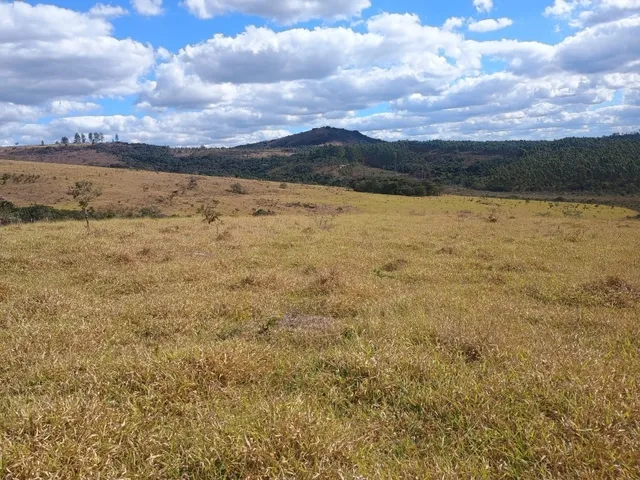 Imagem 9: Fazenda de 277 há em Desterro de Entre Rios MG