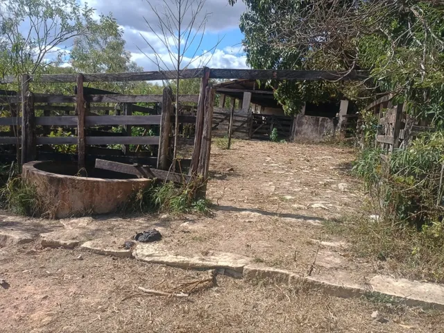 Imagem 5: Fazenda de 277 há em Desterro de Entre Rios MG