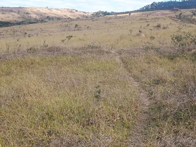 Imagem 10: Fazenda de 277 há em Desterro de Entre Rios MG