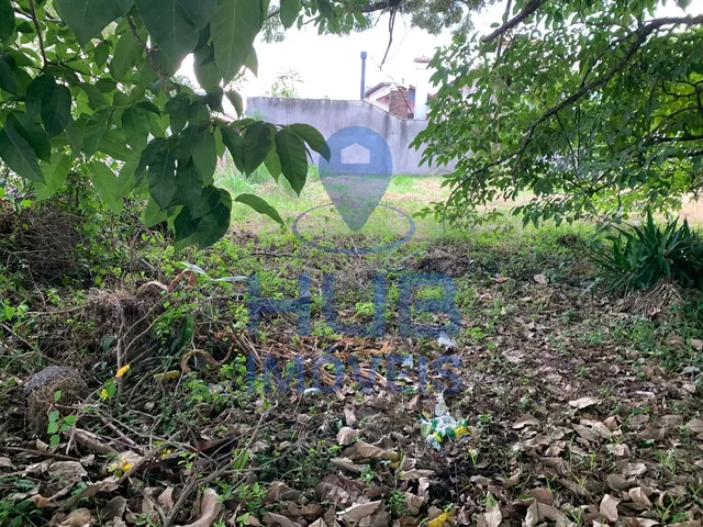 Imagem: Terreno À Venda, Jurerê Internacional