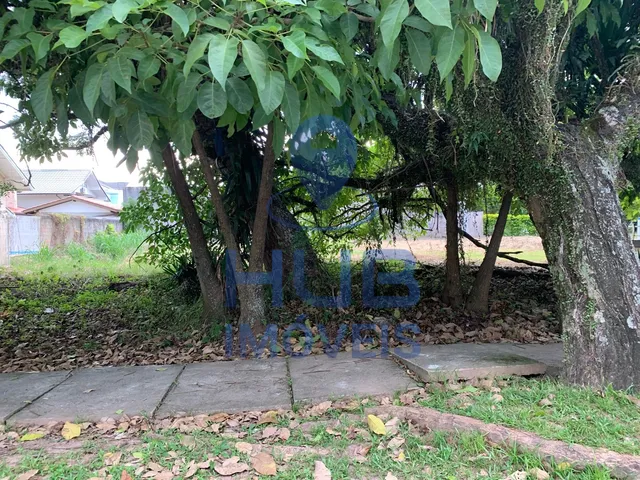 Imagem 3: Terreno À Venda, Jurerê Internacional, Florianópolis, Sc