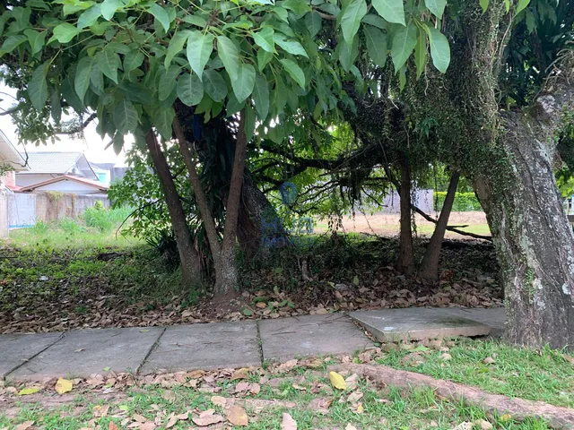 Imagem 4: Terreno À Venda, Jurerê Internacional, Florianópolis, Sc