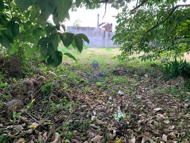 Imagem 5: Terreno À Venda, Jurerê Internacional, Florianópolis, Sc