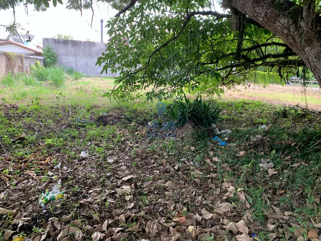 Imagem 6: Terreno À Venda, Jurerê Internacional, Florianópolis, Sc