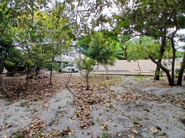 Imagem 16: Granja em Barra de Gramame Praia do Sol - Casa Sede, Piscina Excelente Localização