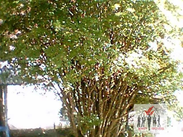 Imagem 11: Casa À Venda no Bairro Jardim dos Estados - Poços de Caldas/Mg
