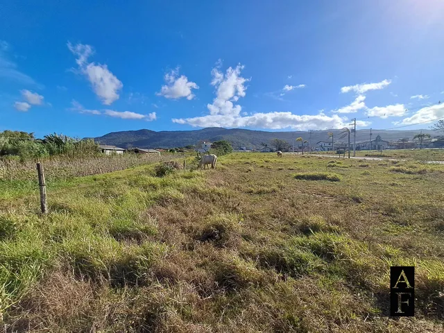 Imagem 16: Terreno no Bairro Ambrósio, Garopaba/Sc