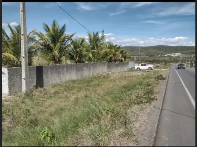 Imagem 4: Vendo Sítio em Serrinha com Excelente Localização