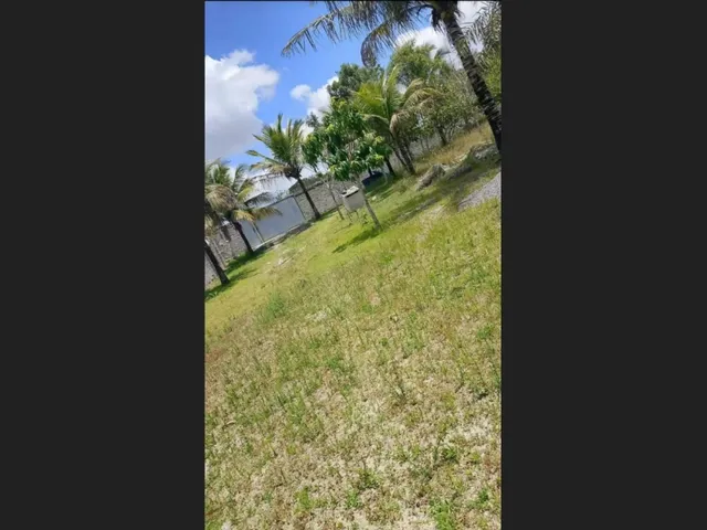 Imagem 3: Vendo Sítio em Serrinha com Excelente Localização