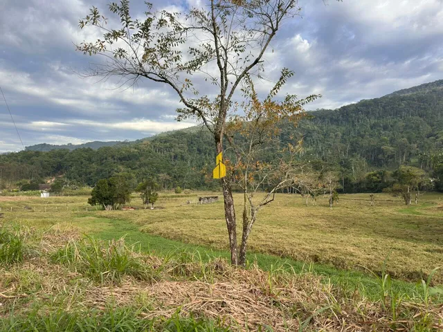 Imagem 6: Terrenos para Sitio Urbano Timbó Araponguinhas