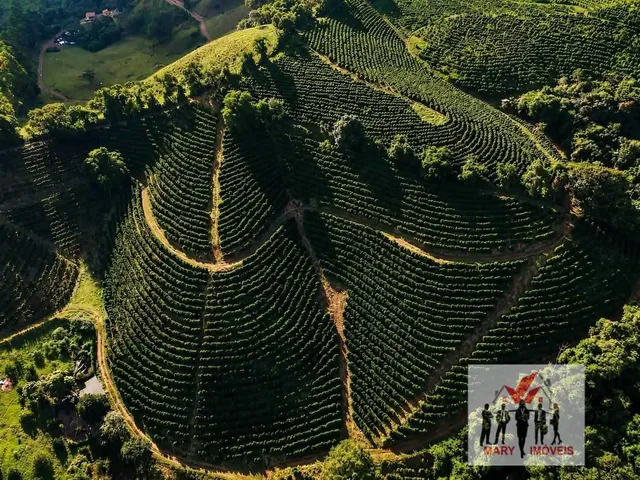 Imagem: Fazenda À Venda no Bairro Centro - Caldas/Mg