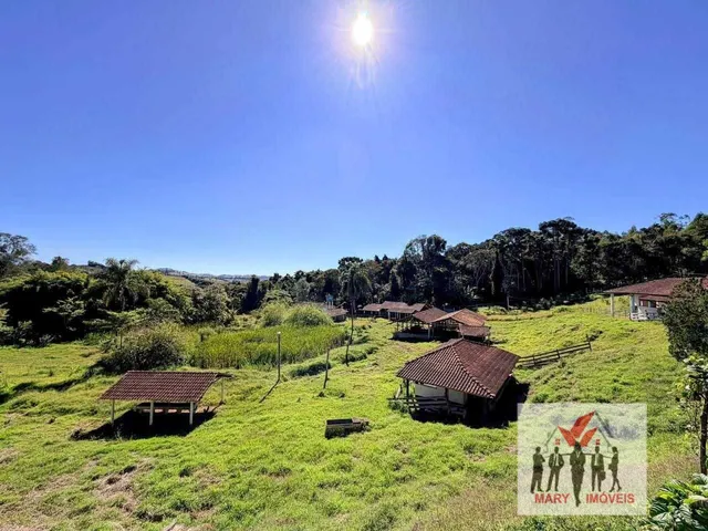 Imagem 6: Fazenda À Venda no Bairro Centro - Caldas/Mg