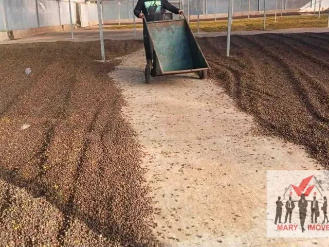 Imagem 8: Fazenda À Venda no Bairro Centro - Caldas/Mg