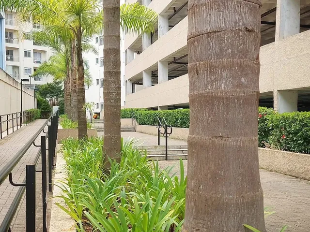 Imagem 13: Apartamento Condomínio Viva Mais 2 Dormitórios 49M² R$371 Mil - Ferrazópolis - São Bernardo do Campo/Sp