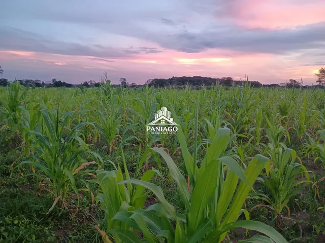 Imagem: Sítio À Venda Ou Troca em Cuiabá/Mt
