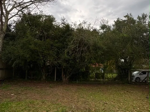 Imagem 3: Terreno de 715 M² À Venda na Praia do Rosa Excelente Oportunidade para Investir