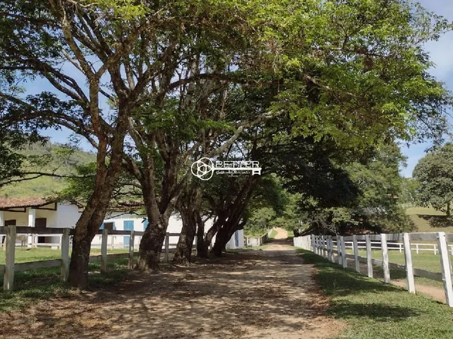 Imagem: Maravilhosa Fazenda Centenaria - Amparo