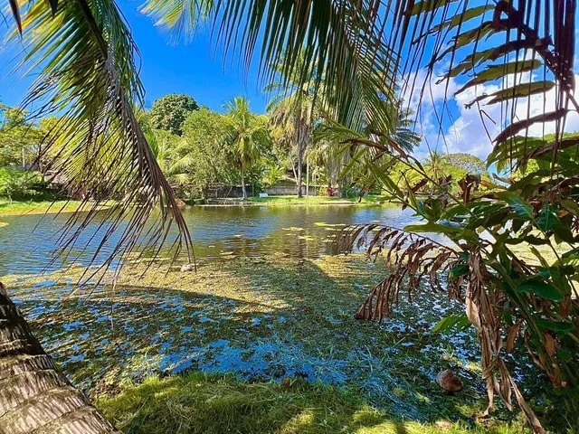 Imagem 4: Condomínio Albatroz - Casa de Alto Padrão com 2.264M² de Terreno e Vista para Lagoa - Condomínio Albatroz, Jauá