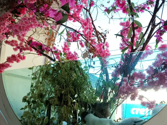 Imagem 5: Ponto Comercial em Resende - Rj, Comercial