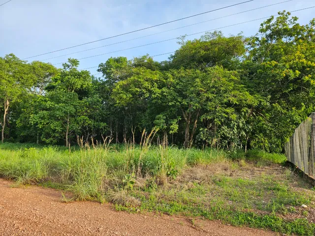 Imagem: Condomínio Flor do Cerrado
