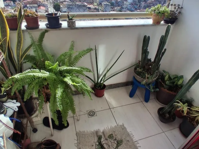 Imagem 3: Apartamento Residencial em Salvador - Ba, Brotas