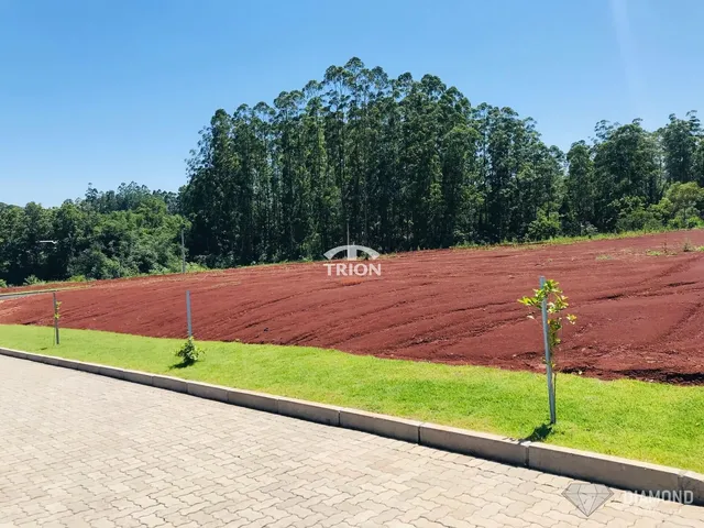 Imagem 4: Terrenos de Ampla Metragem À Venda Às Margens da Ers-413 - Lajeado/Rs