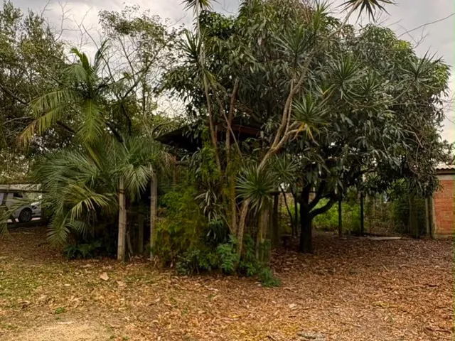 Imagem 10: Terreno de 715 M² À Venda na Praia do Rosa Excelente Oportunidade para Investir