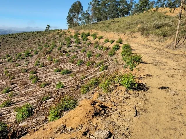 Imagem: Área Rural em Igaratá