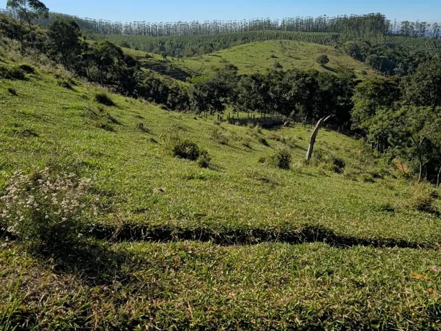 Imagem 7: Área Rural em Igaratá