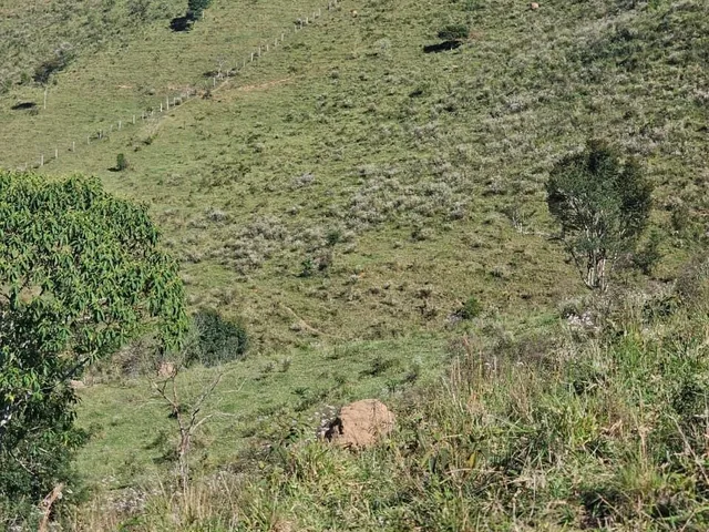 Imagem 11: Área Rural em Igaratá