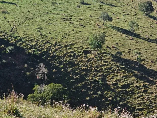 Imagem 2: Área Rural em Igaratá