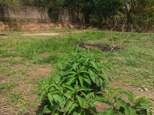 Imagem 3: Chácara À Venda em Cosmópolis-Sp, Bairro Área Rural: 1 Quarto, 1 Banheiro, 0,01 M² de Área!