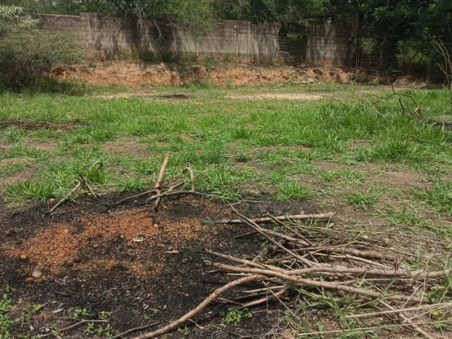 Imagem 2: Chácara À Venda em Cosmópolis-Sp, Bairro Área Rural: 1 Quarto, 1 Banheiro, 0,01 M² de Área!