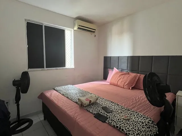 Imagem 12: Apartamento na Cohama 3 quartos Palmeiras Prime 63 m²